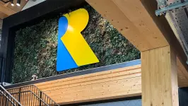 Microsoft назначила опытного ветерана из Rare на должность руководителя аппарата Xbox Game Studios.