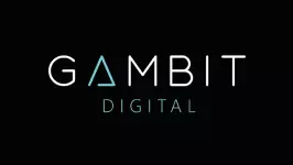 Бывший вице-президент Kepler Interactive возглавил новое независимое издательство Gambit Digital.